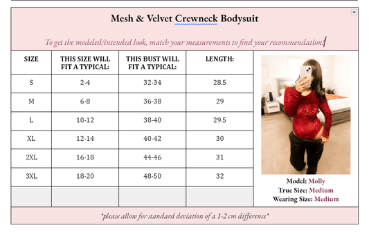 Micha Mesh & Velvet Crewneck Bodysuit - Girl Code Couture